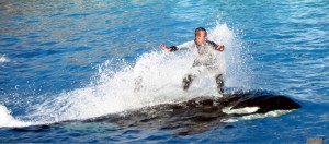 riding Orca riding Orca